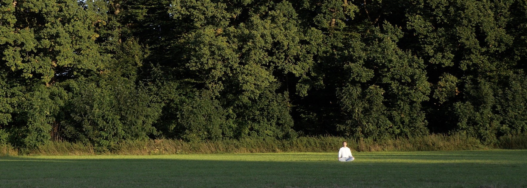 Leon in der Natur