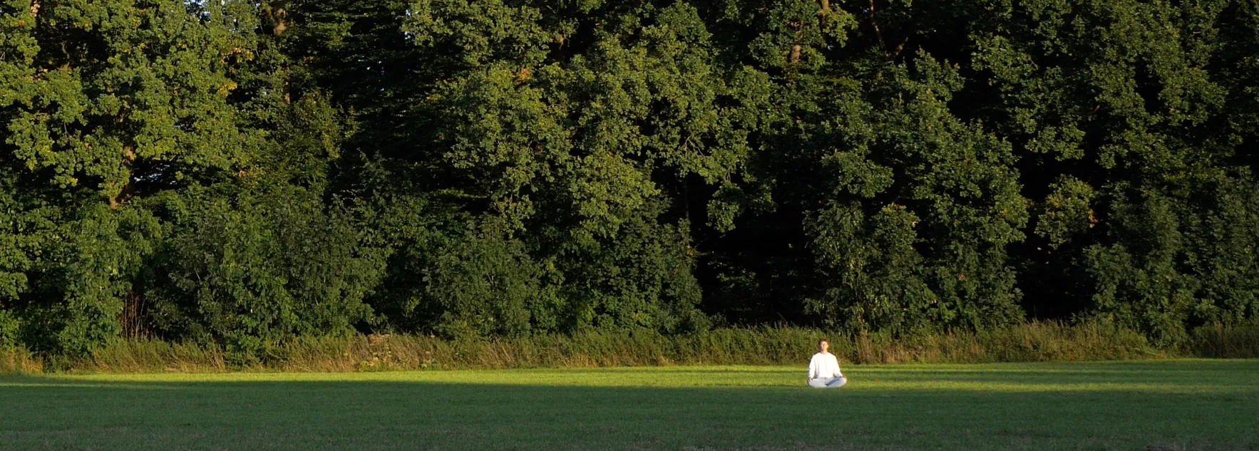 Leon in der Natur